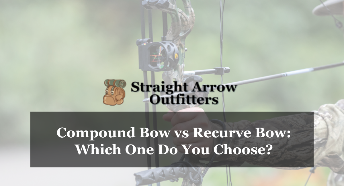 Compound Bow vs Recurve Bow Which One Do You Choose